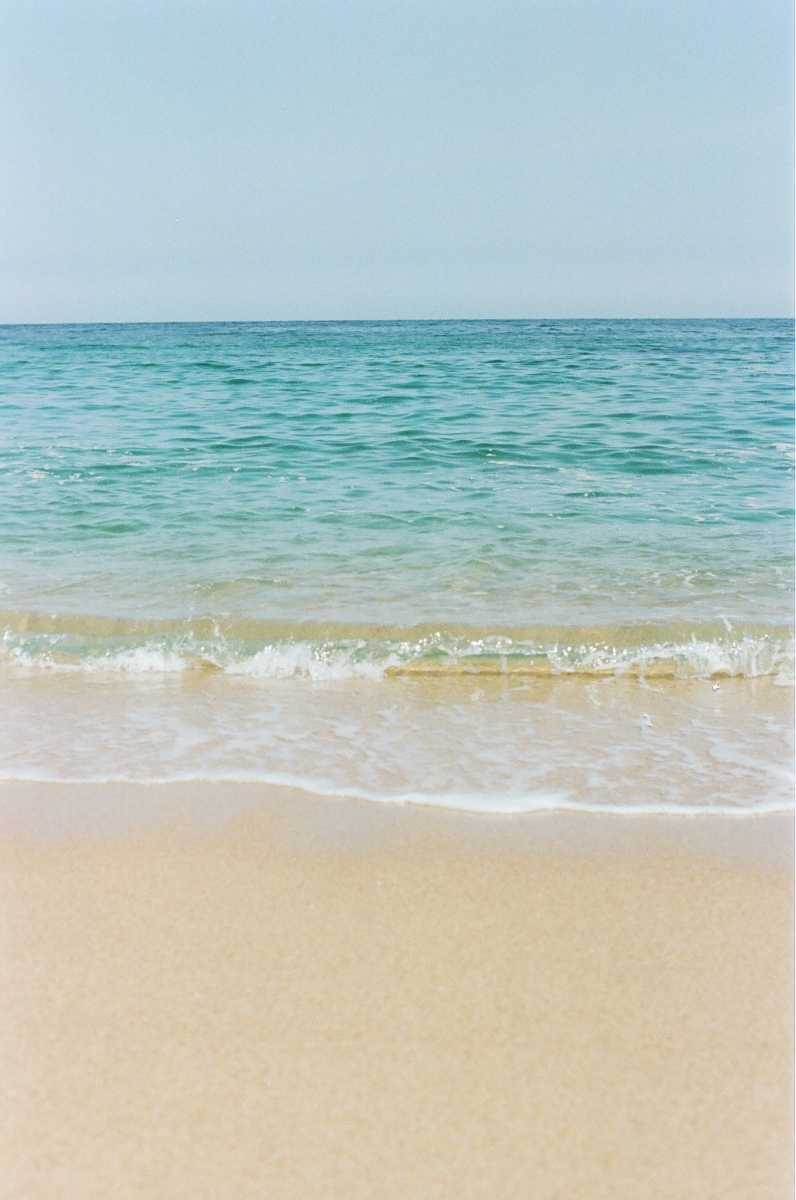 写真12